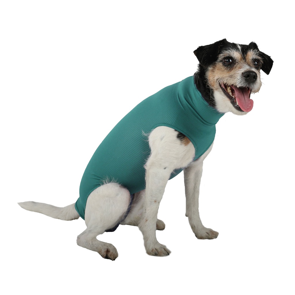 VetMedCare® Dog Body maat XXXS unisex