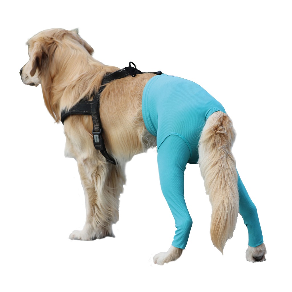 VetMedCare Safety Pants til hund, Str. XS/S unisex. 